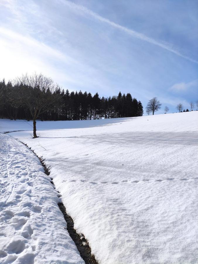 Zentrale Und Gemuetliche Ferienwohnung In Winterberg Nah An Der Natur Exterior foto